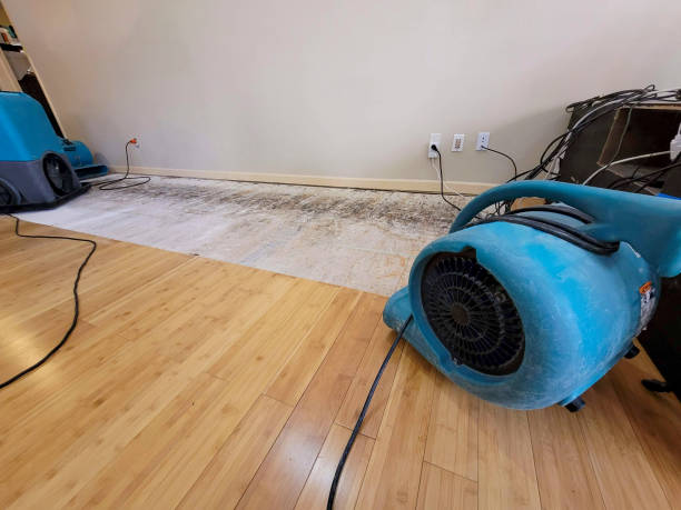 Professional Burst Pipe Water Damage technician working in Kittredge, CO